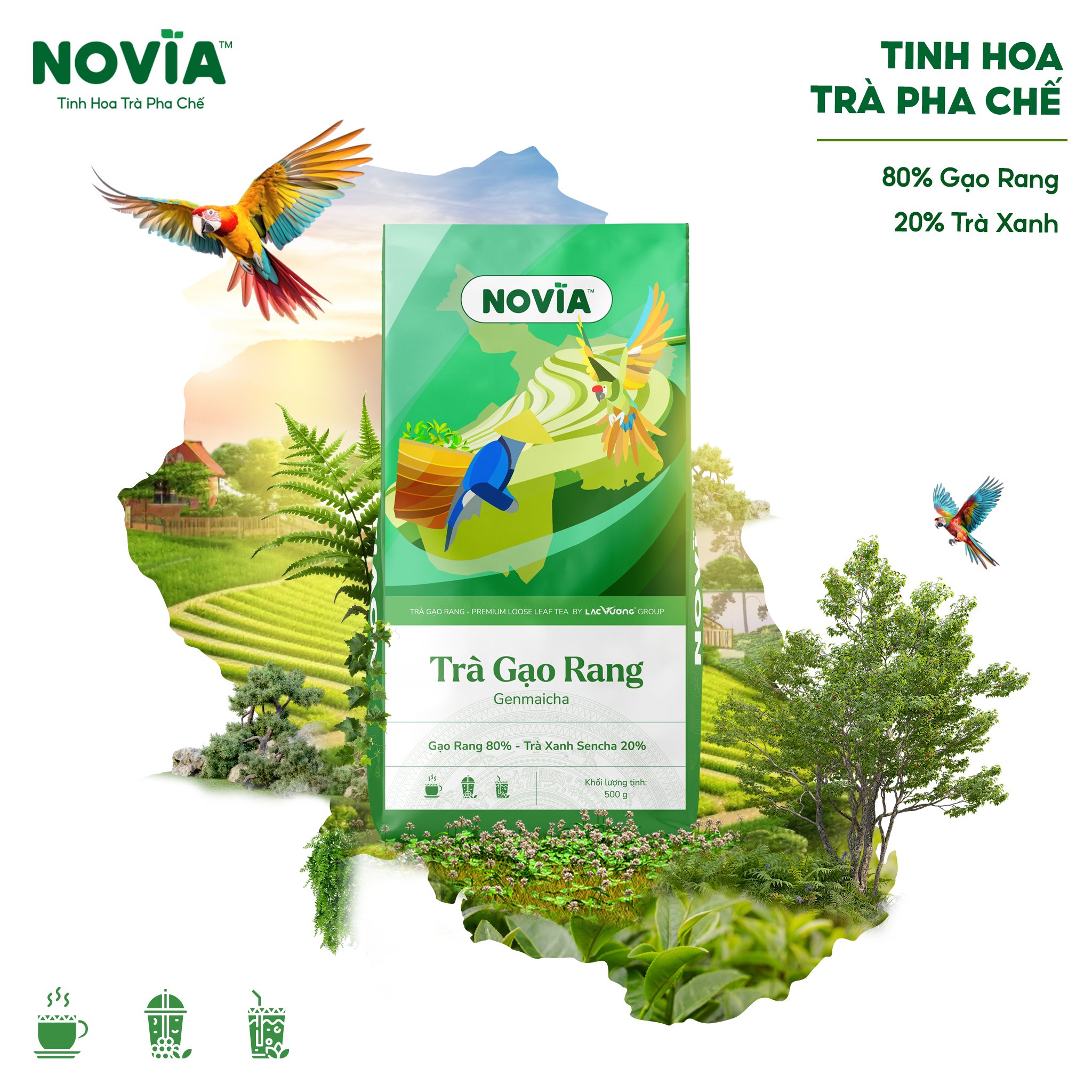 Trà Gạo Rang Novia 500gr Trà Gạo Rang Novia 500gr - Hình 1